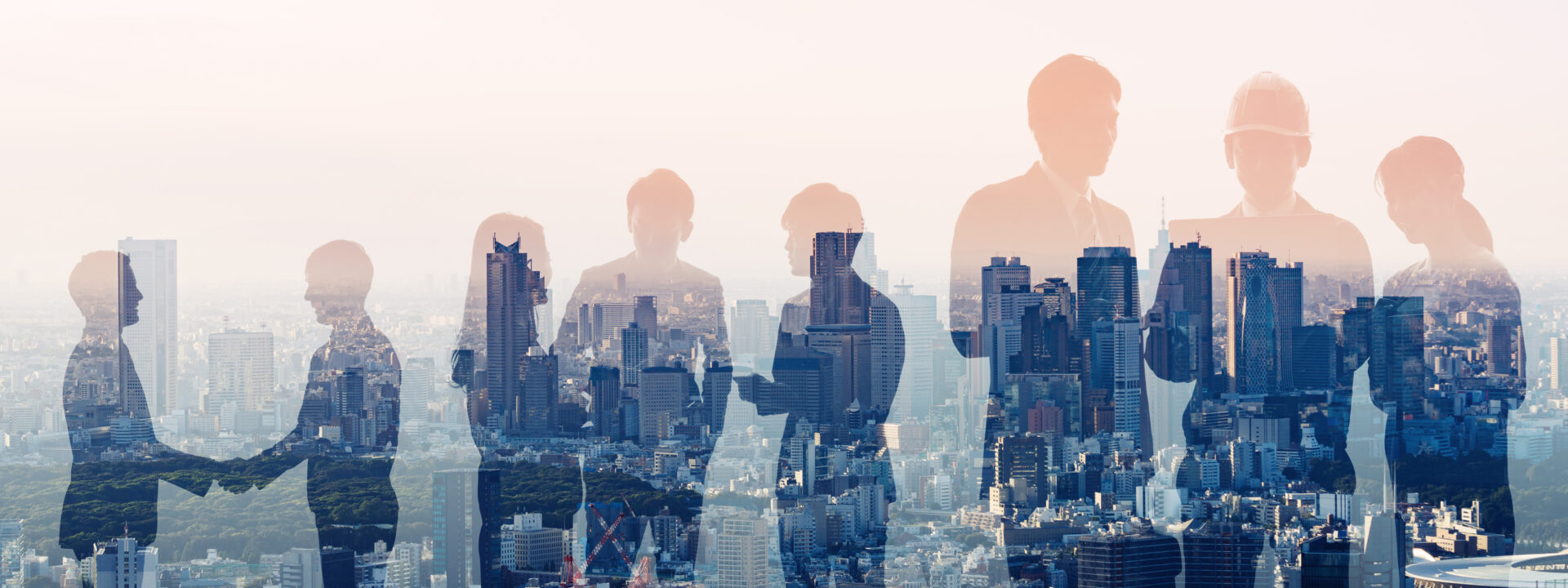 NEXA Solutions M&E Consultancy and Project Management
